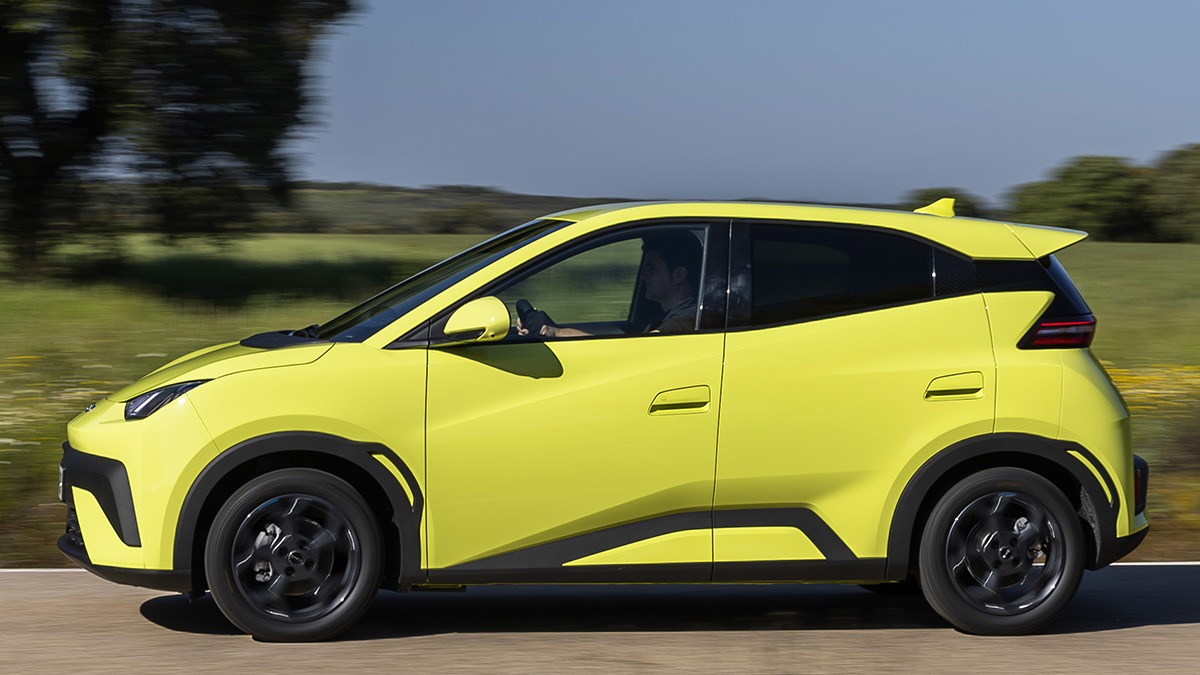 BYD Dolphin Surf